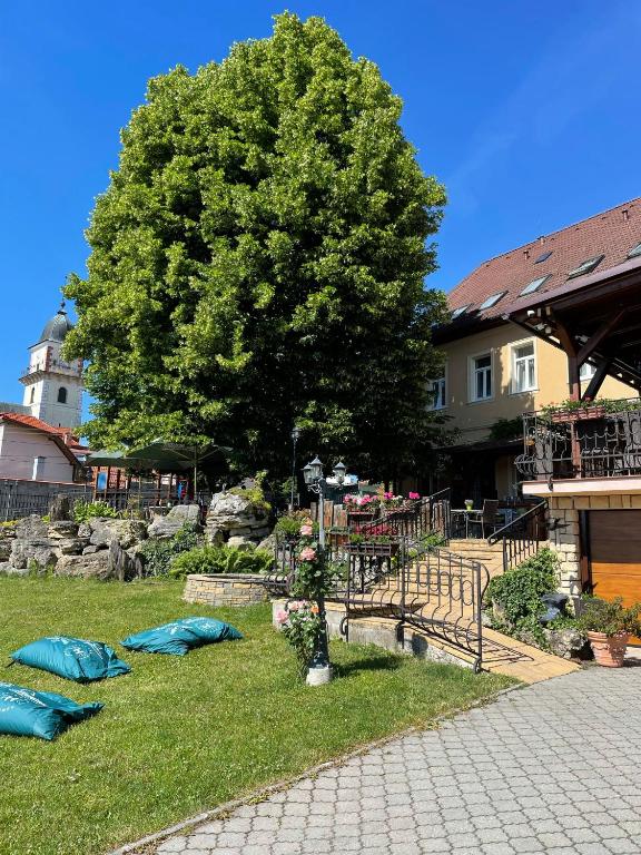 Zahrada ubytování Hotel Lipa