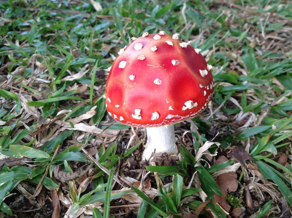  Filadélfia Hospedagens e Eventos