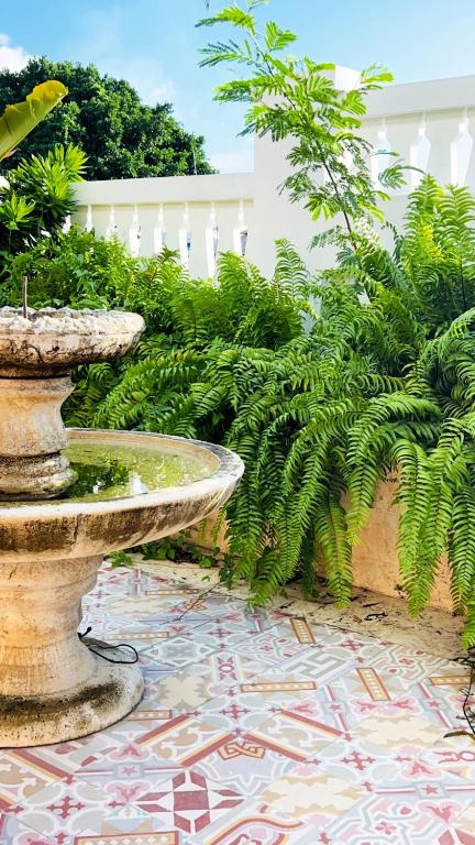 Fotografie z fotogalerie ubytování Boutique Hotel Casa Grande v destinaci Santo Domingo