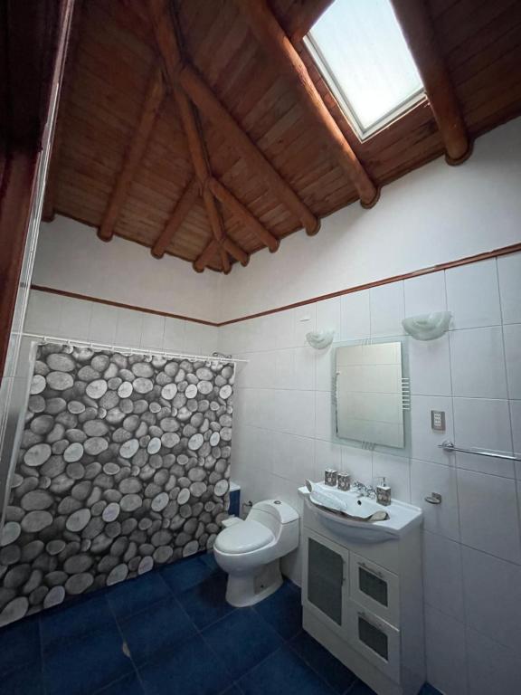 a bathroom with a toilet and a sink and a mirror at Cabañas Los Olmos in San José de Maipo