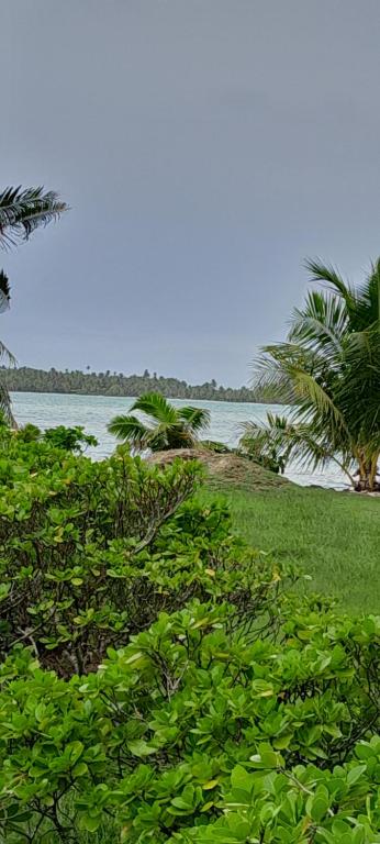 Penu Maurua 1, Te-Fare-Arii - photo 6 - Maupiti, Polynésie