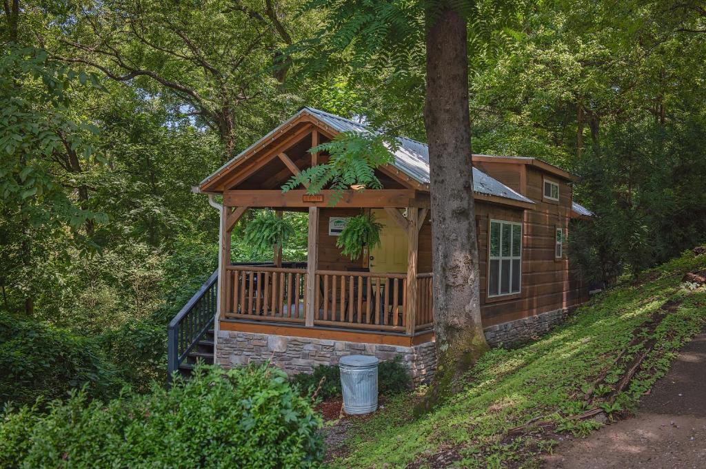 mały domek w lesie z drzewem w obiekcie Eden Cabin Forested Tiny Home On Lookout Mtn w mieście Chattanooga