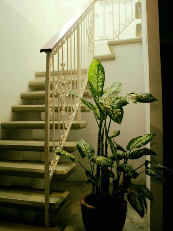 Fotografie z fotogalerie ubytování Tropic Bacalar v destinaci Bacalar