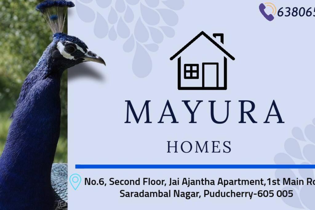 a peacock is standing in front of a house at Mayura home in Pondicherry