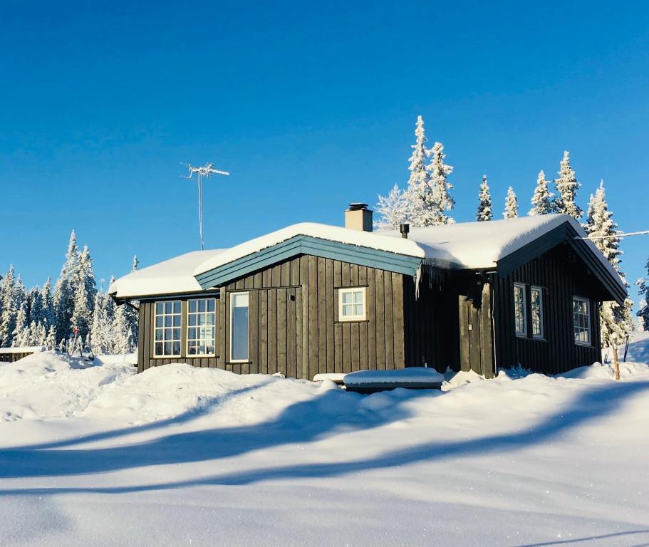 Cabaña pequeña en la nieve con árboles nevados en Beautifull cottage, en Tisleidalen