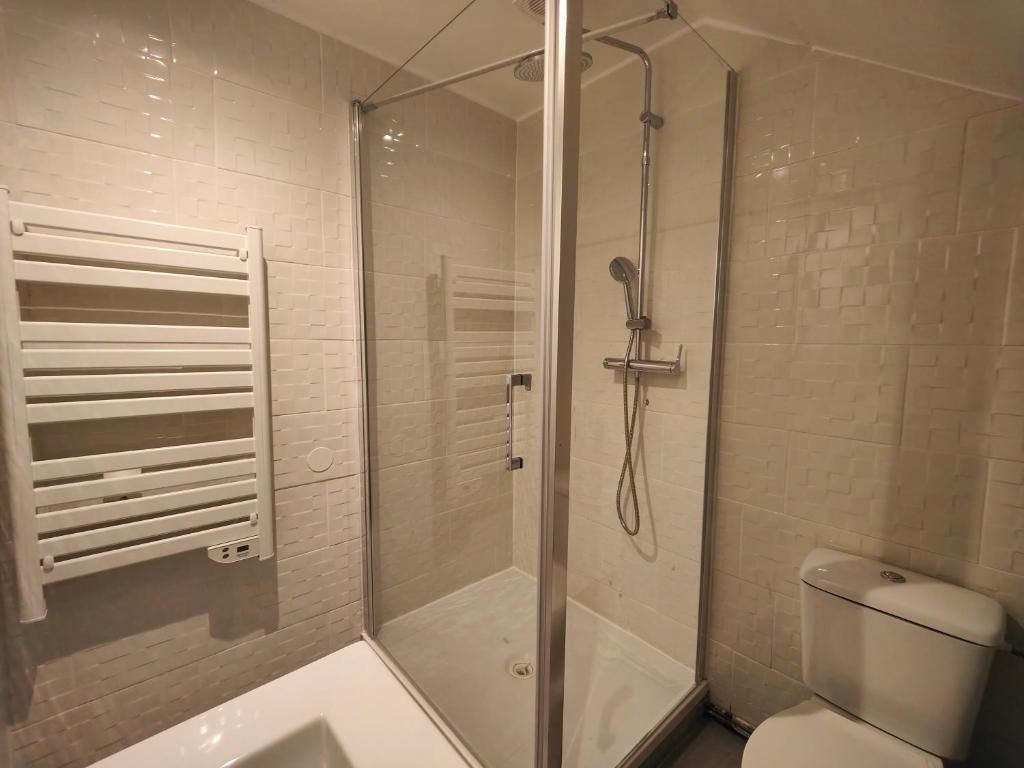 ein Bad mit einer Dusche und einem WC in der Unterkunft Les Lofts De Provins: Apt 8 in Provins