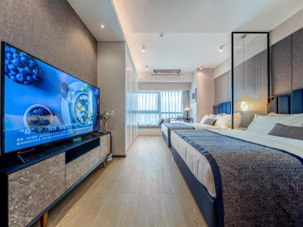 TV a/nebo společenská místnost v ubytování BORUISI Executive Apartment
