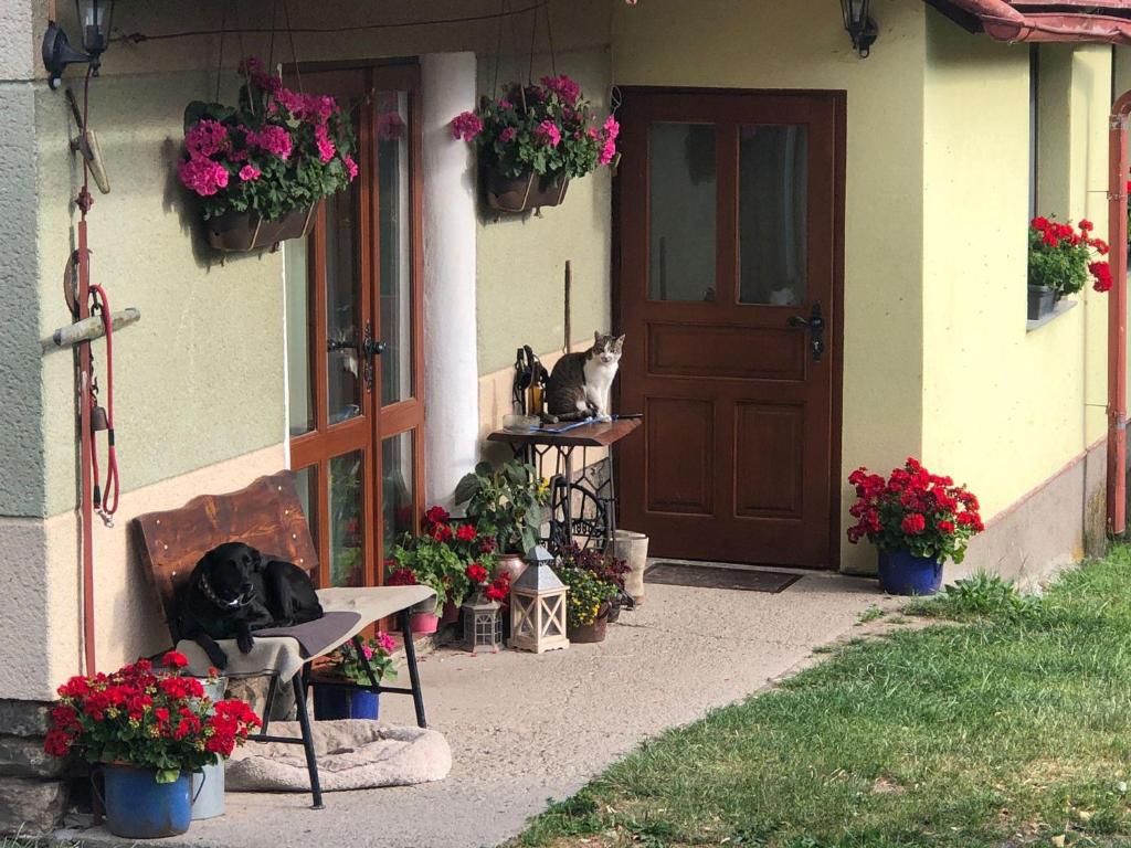 Zahrada ubytování U Gerešů