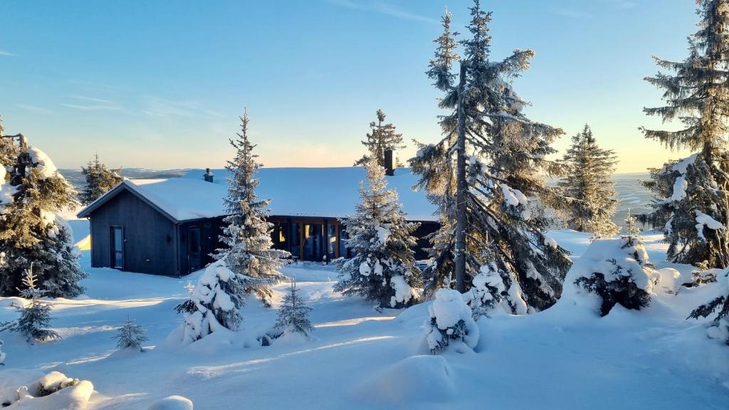 Unique new cabin by Hafjell & Skei with stunning view v zimě