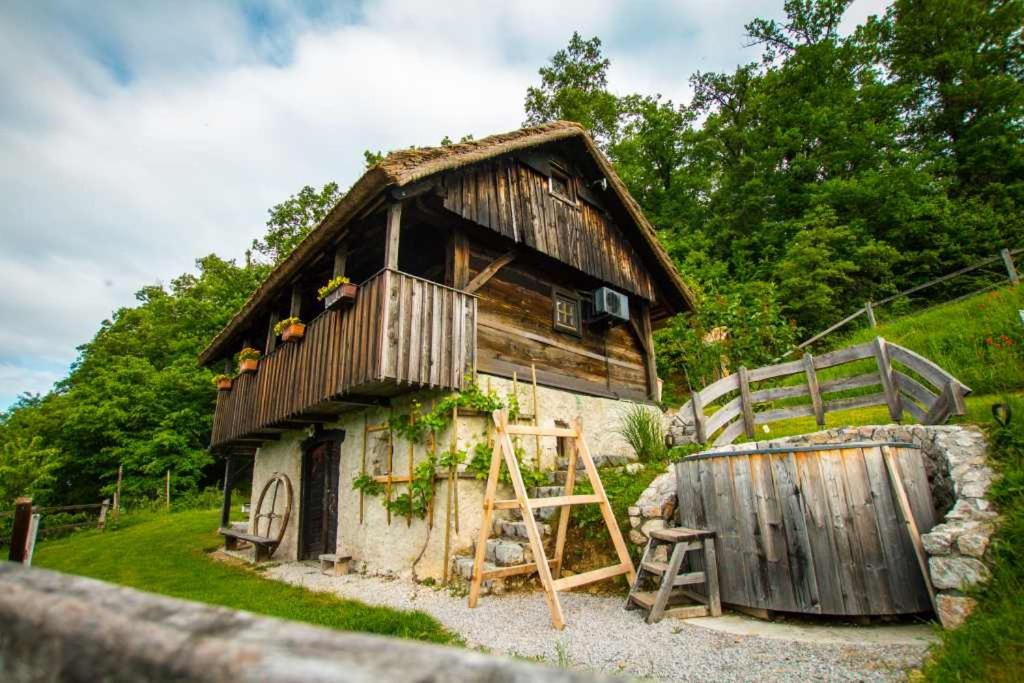 ein altes Holzhaus mit einer Leiter und einer Leiter in der Unterkunft Vineyard Cottage Skatlar in Otočec
