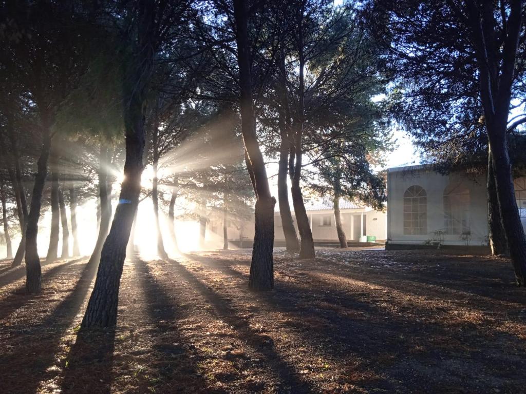 Fotografie z fotogalerie ubytování Bungalows Zaragoza Camping v destinaci Zaragoza