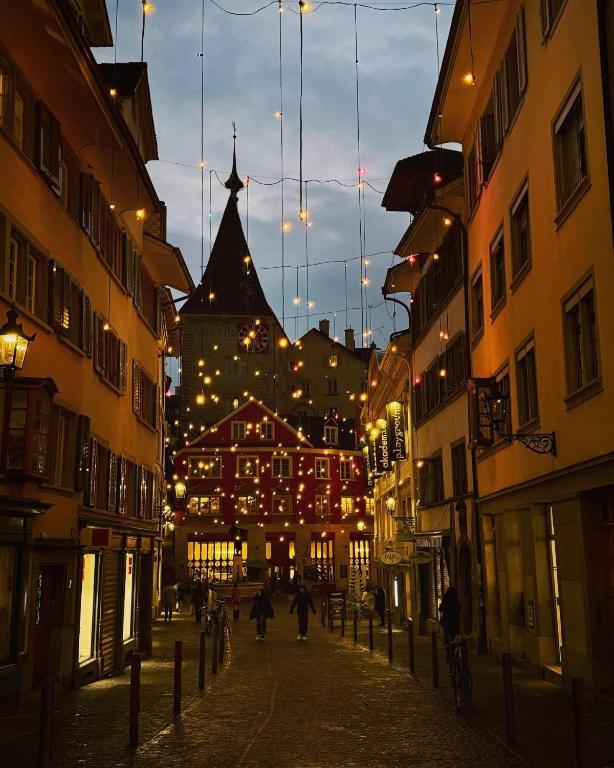 Lion BB Swiss - Resim 4