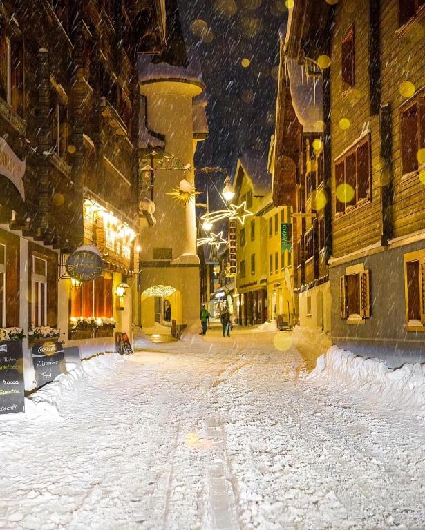 Lion BB Swiss - Resim 5