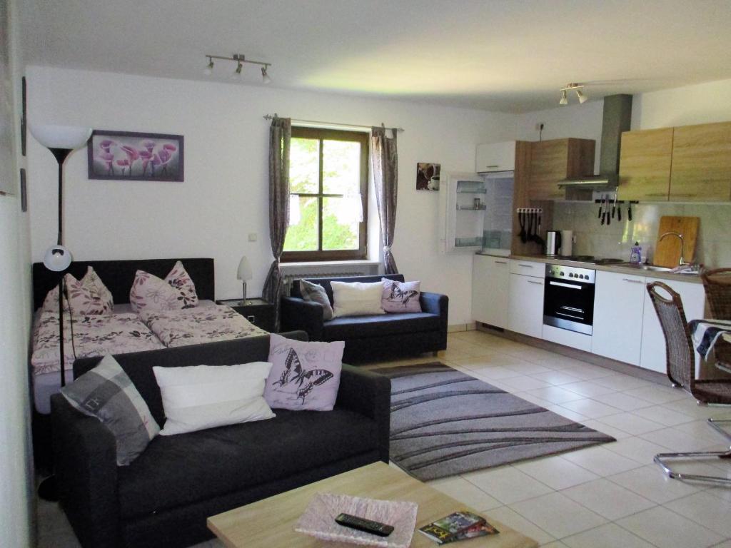 ein Wohnzimmer mit Couch und Küche in der Unterkunft NEU! Reiterhof Finkenmühle Fewo Gipsy in Weißenstadt