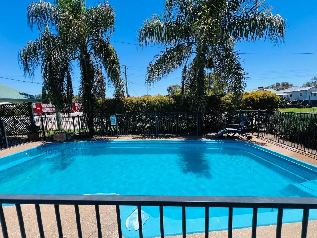a swimming pool with a fence and palm trees at OVERLANDER MOTOR LODGE in Gunnedah