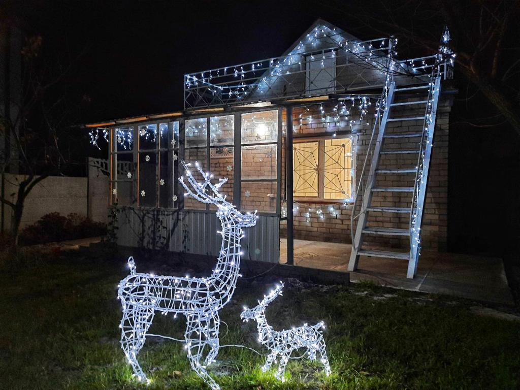 uma mostra de luz de Natal de uma família de girafas em Загородный дом на берегу реки Самара em Dnipro