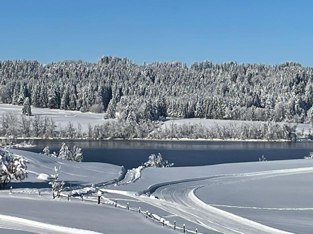un campo innevato con un lago e alberi di Loft mit Seeblick und Innenpool a Petersthal