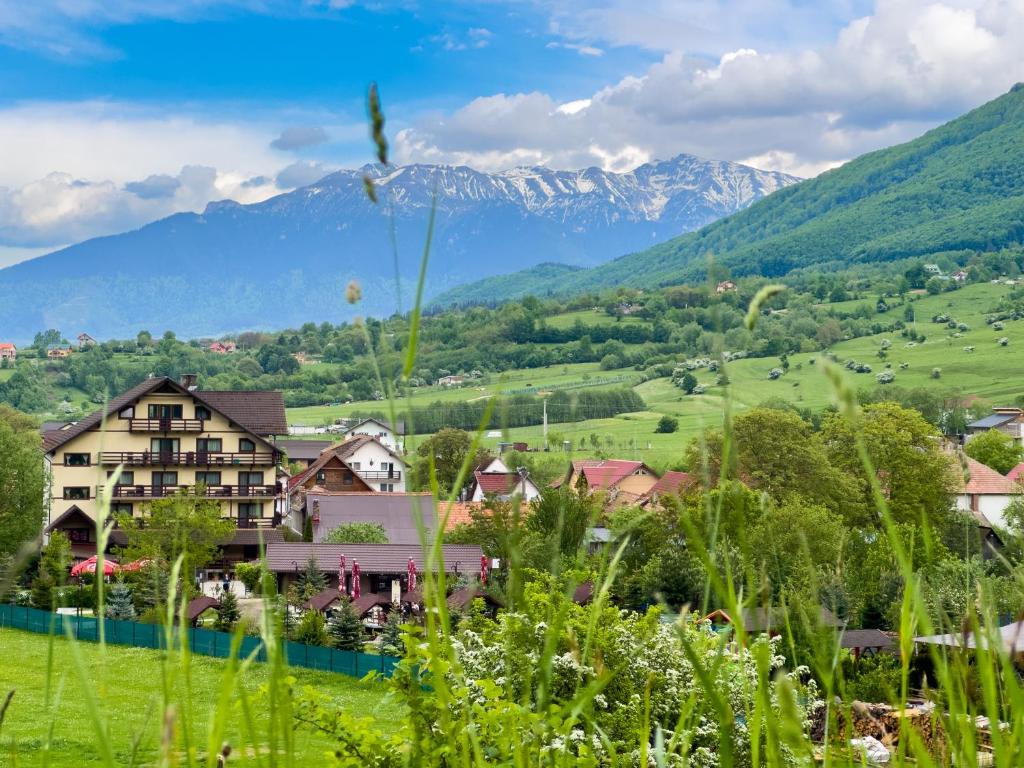 a village in a valley with a mountain in the background at Vila Hora cu Brazi in Zărneşti