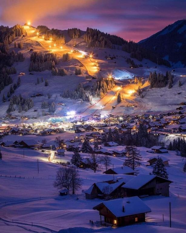 Lion BB Swiss - Resim 11