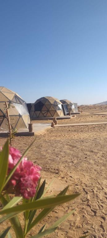 Příroda nedaleko luxury tent