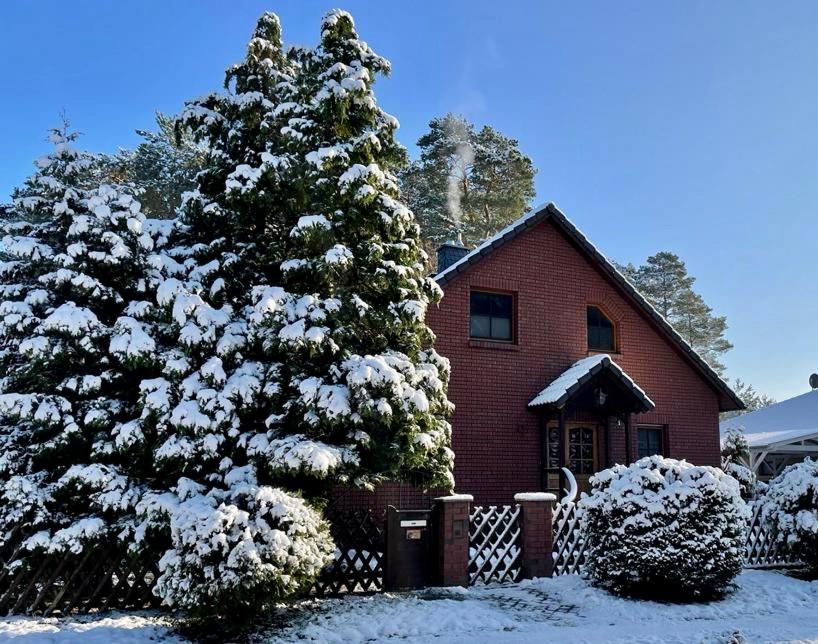 a snow covered tree in front of a house at Auf der Heide in Borkheide