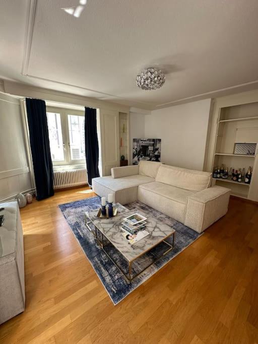 O zonă de relaxare la Cozy apartment in oldtown Zurich5