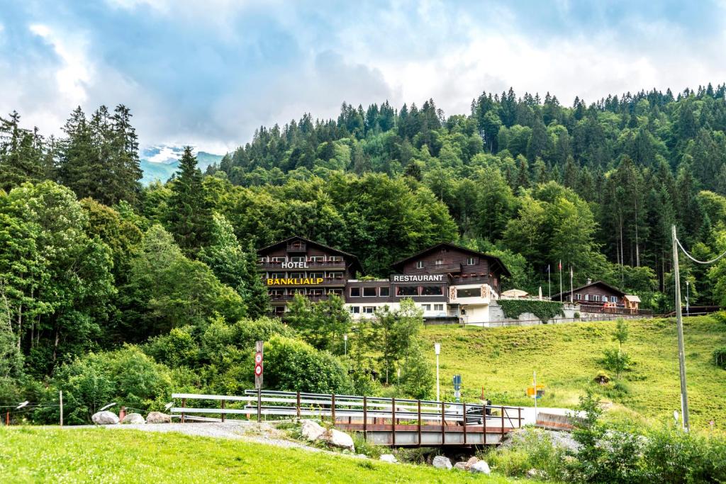Příroda nedaleko hotelu