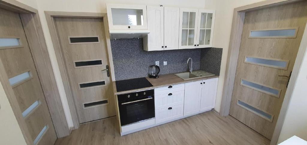 uma pequena cozinha com armários brancos e um lavatório em Apartment 35m2 em Karlovy Vary