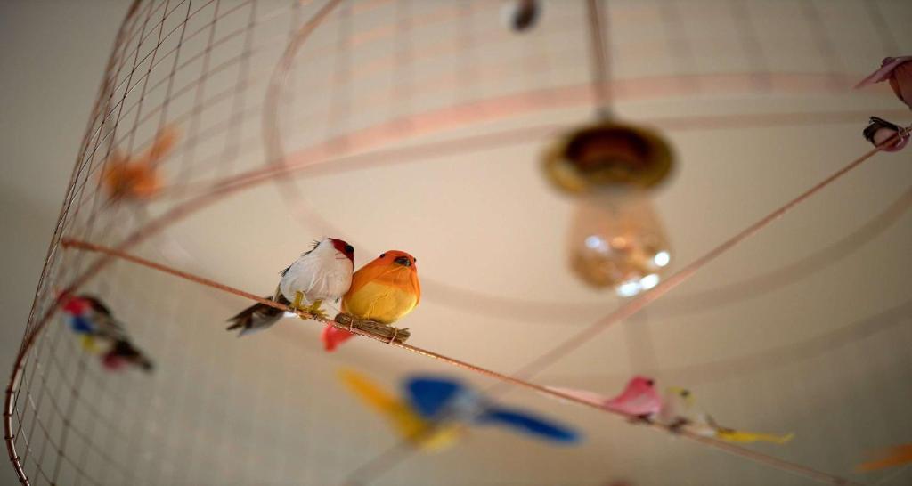 two birds are sitting on a rope in a net at Hotel Apolonia Paris Montmartre; Sure Hotel Collection by Best Western in Paris