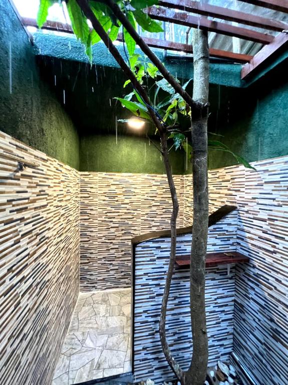 Fotografie z fotogalerie ubytování Mango Tree House Mirissa v Mirisse (jih)