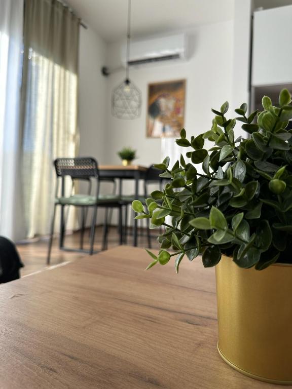 Foto dalla galleria di Apartman PLAY Divčibare - 2 spavaće sobe a Divčibare
