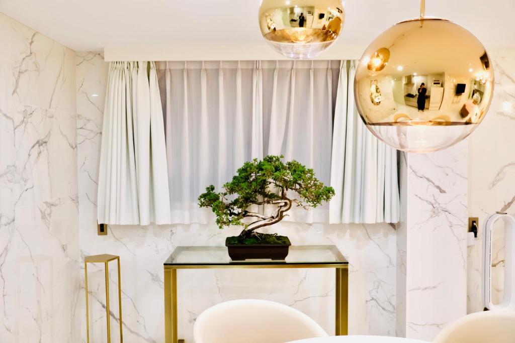 a table with a bonsai tree on it in front of a window at THE ROOT2 HOTEL in Kyoto