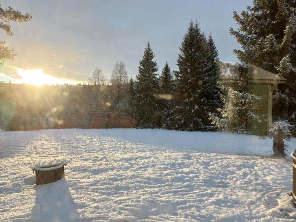 Fritidshus Hammare Hagfors v zimě