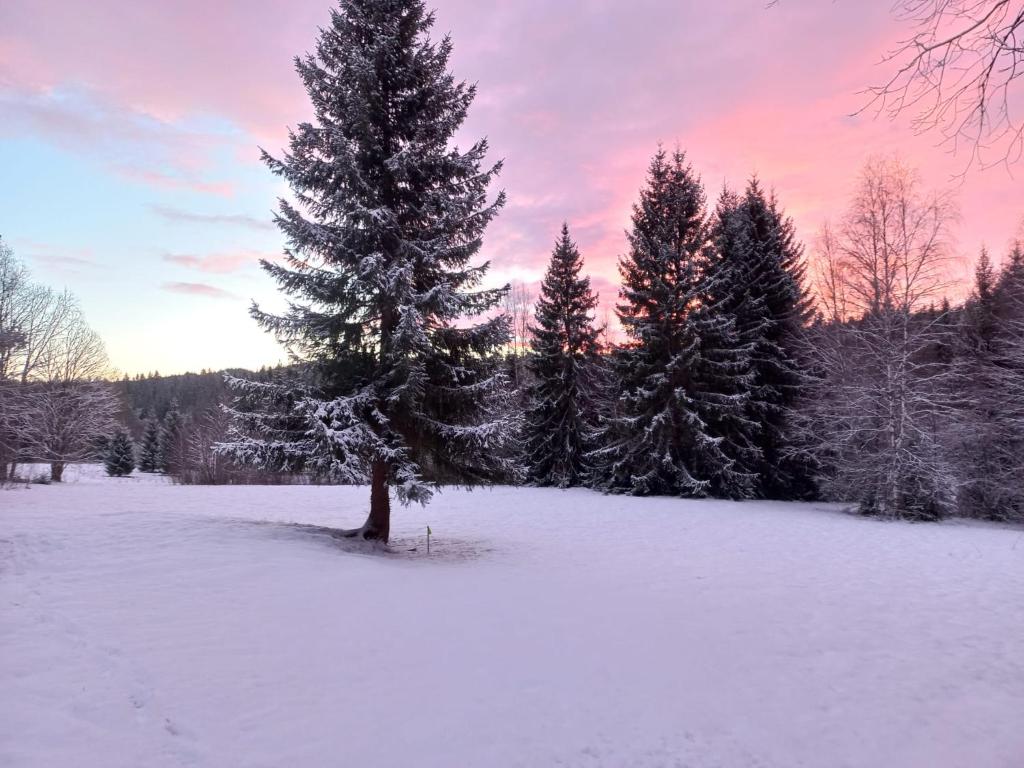 Fritidshus Hammare Hagfors v zimě