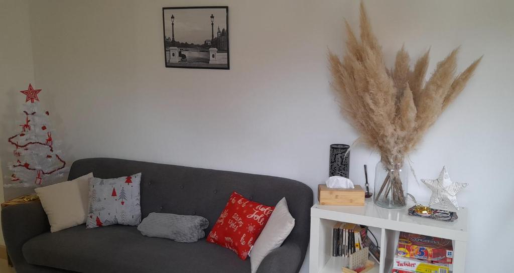 a living room with a gray couch and a white shelf at Charmante maison rénovée, proche lac et centre-ville in LʼIsle-Jourdain