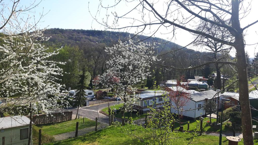 a view of a town with white flowers on a hill at Camping Officiel Wollefsschlucht Echternach in Echternach
