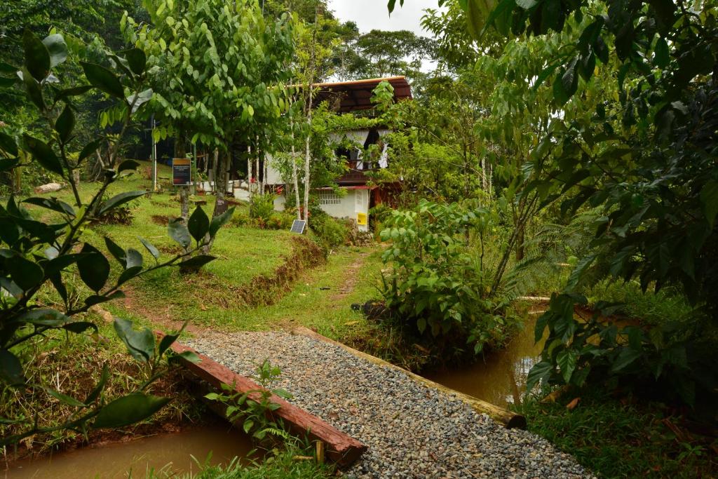 加爾松鎮的住宿－Portal del Sol，森林中一条河流的房屋