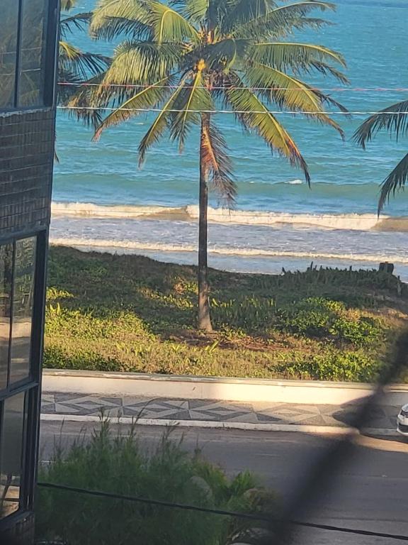 uma palmeira no lado da praia em Apartamento 3 quartos beira mar Intermares-Cabedelo VALOR DA TAXA DE LIMPEZA E DO AR CONDICIONADO COBRADO À PARTE em Cabedelo