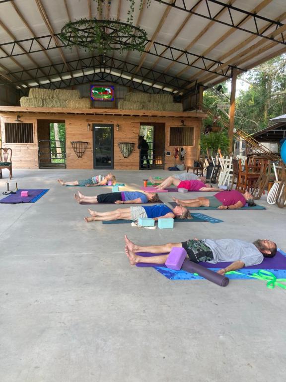 a group of people doing yoga in a building at Lazy Dog Acres 