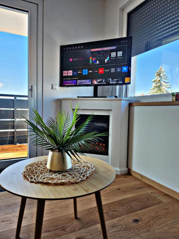 Lions Place Premium Apartments EXECUTIVE Luxus PENTHOUSE inklusive SPA - Apartamento Superior