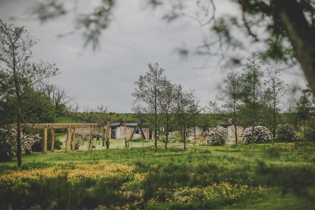 a house in a field with trees and grass at Everything Retreat in Mellor