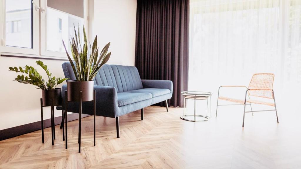 salon z niebieską kanapą i krzesłami w obiekcie Apartments ABCD w Białej Podlaskiej