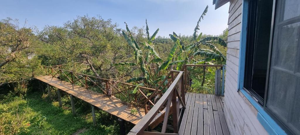 a balcony with a wooden walkway next to a house at Hidden Island Hostel in Tigre