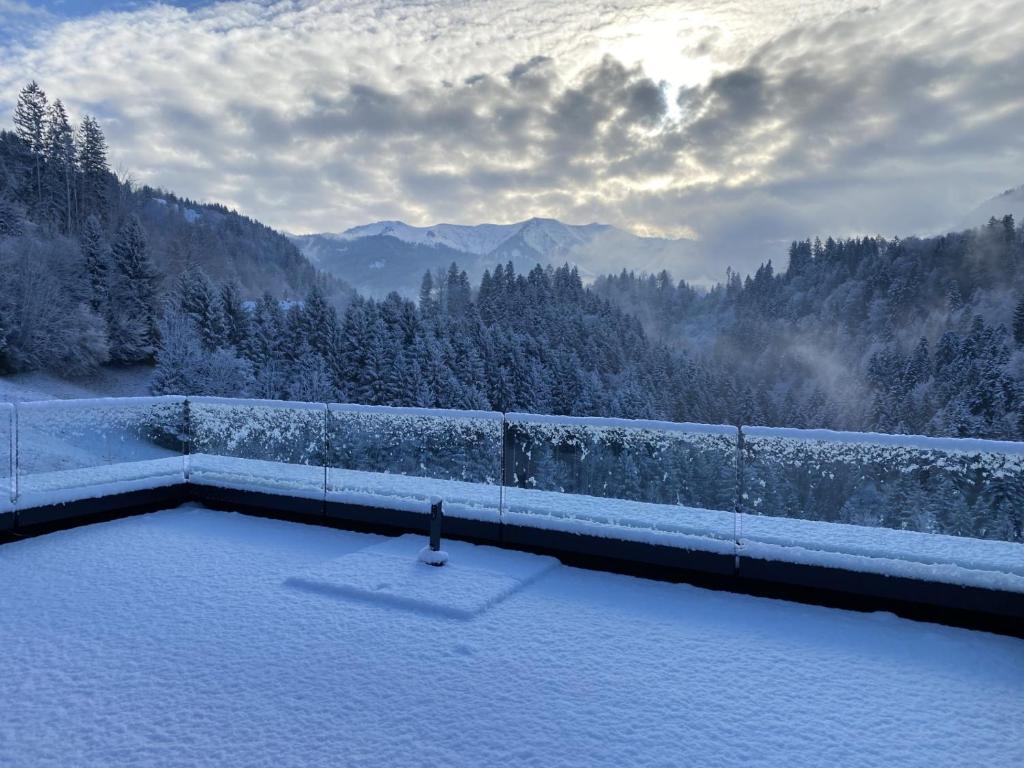 Wohnung Staufenblick und Wohnung Firstblick v zimě