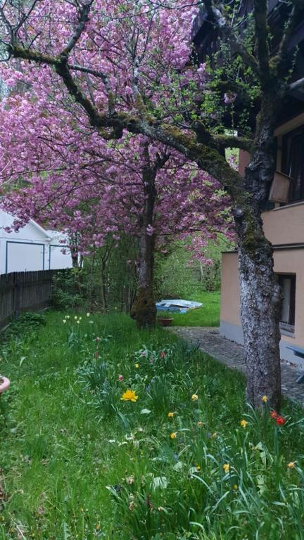 Zahrada ubytování Central Starnberg and surrounded by nature