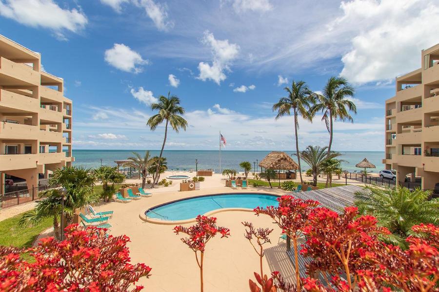 a resort swimming pool with palm trees and the ocean at Palms 417 in Islamorada