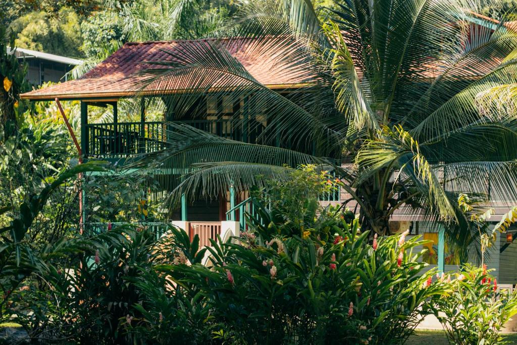 una casa con balcón en medio de árboles en Casa de Mono Bocas, en Big Creek