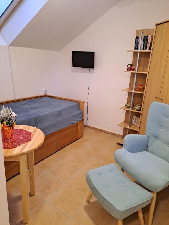 um quarto com uma cama, uma mesa e uma cadeira em Izba Vladimír Penzión pod Smrekom em Martin