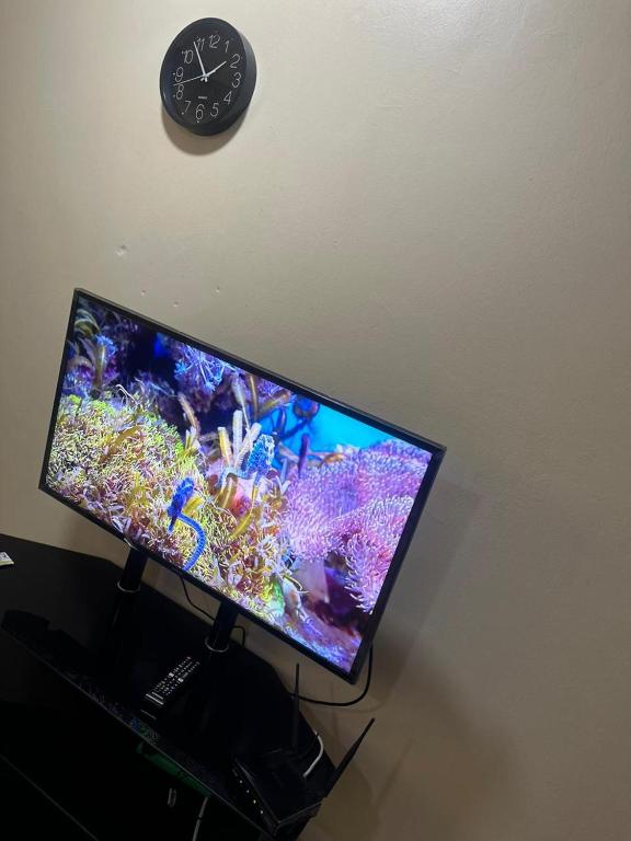 TV a/nebo společenská místnost v ubytování luule