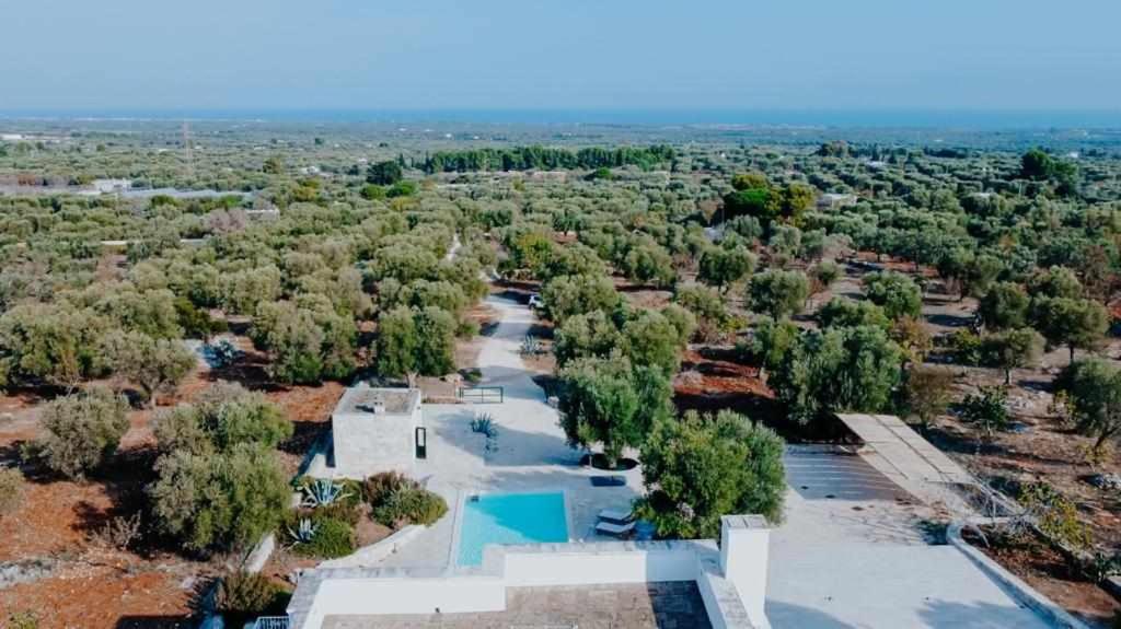 una vista aerea di un fiume alberato di Tenuta Matilda by TripOstuni a Ostuni